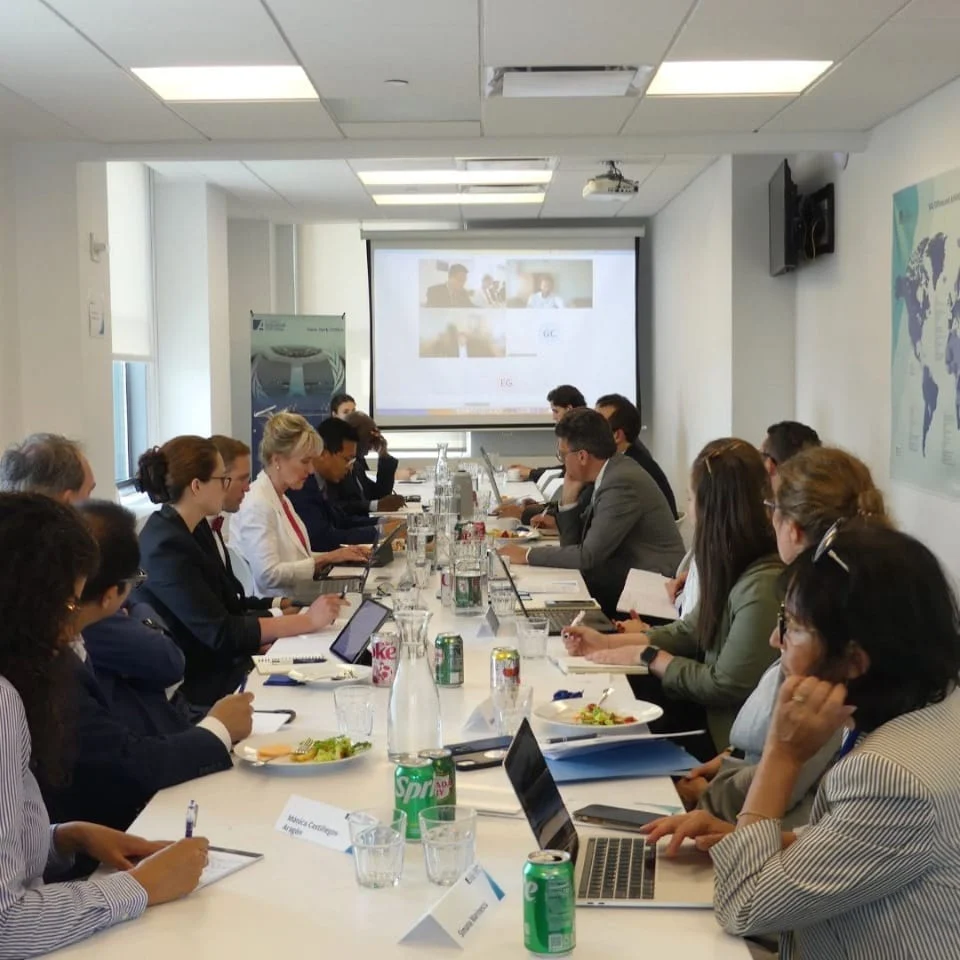 Fostering Partnerships between DC and New York for Development Financing and Multilateralism